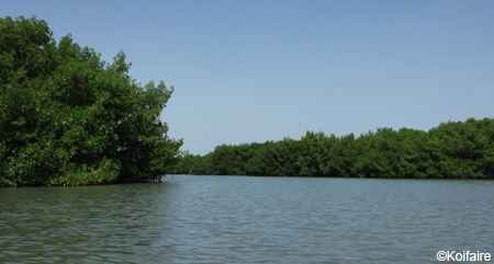 La Mangrove